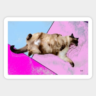 Siamese Cat Sticker